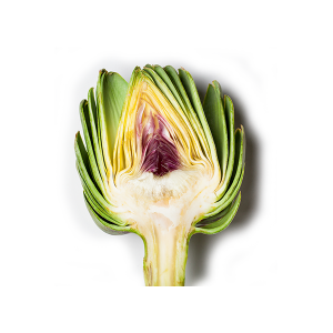 Artichoke