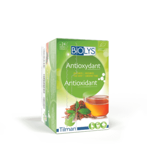 Biolys Rooibos-Groene thee