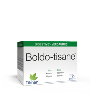 Boldo-tisane