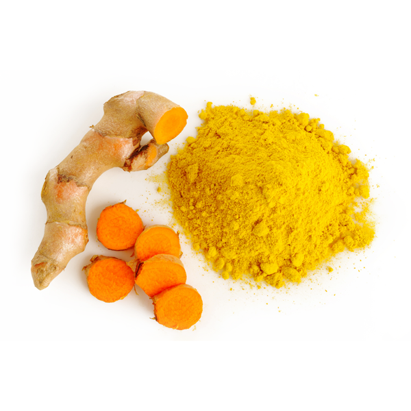 tilman-plantes-curcuma tilman-plantes-curcuma