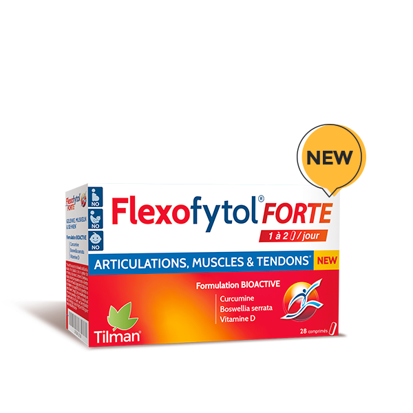 flexofytol forte 28 comprimés